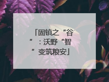 固镇之“谷”：沃野“智”变筑粮安