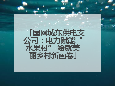 国网城东供电支公司：电力赋能“水果村” 绘就美丽乡村新画卷