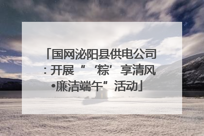 国网泌阳县供电公司：开展“‘粽’享清风 •廉洁端午”活动