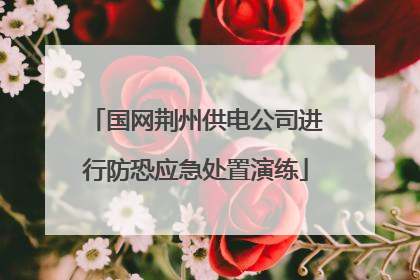 国网荆州供电公司进行防恐应急处置演练