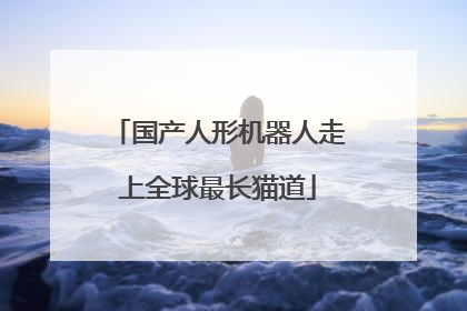 国产人形机器人走上全球最长猫道