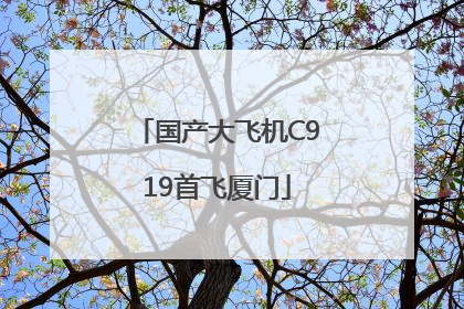国产大飞机C919首飞厦门