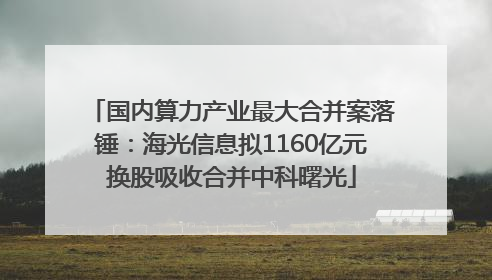 国内算力产业最大合并案落锤：海光信息拟1160亿元换股吸收合并中科曙光