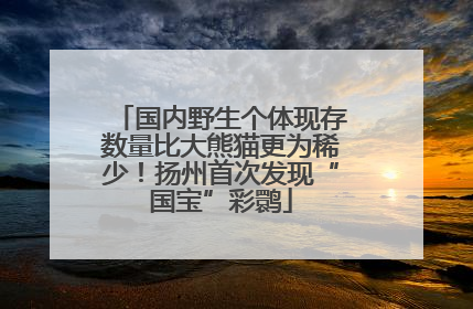 国内野生个体现存数量比大熊猫更为稀少！扬州首次发现“国宝”彩鹮