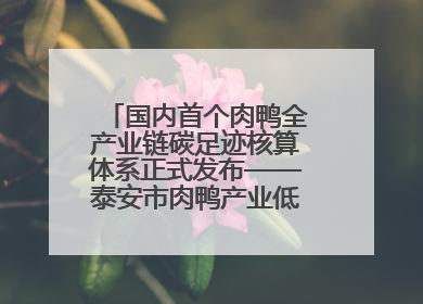 国内首个肉鸭全产业链碳足迹核算体系正式发布——泰安市肉鸭产业低碳发展标准示范项目顺利通过验收