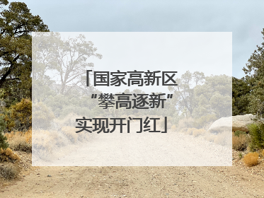 国家高新区“攀高逐新”实现开门红