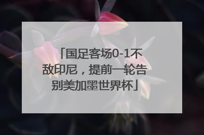 国足客场0-1不敌印尼，提前一轮告别美加墨世界杯