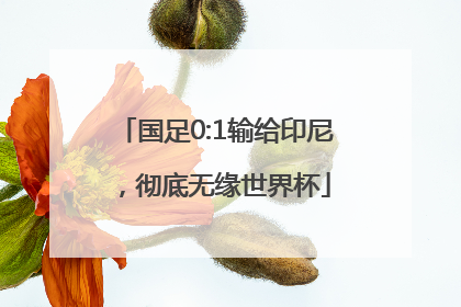 国足0:1输给印尼，彻底无缘世界杯
