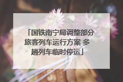 国铁南宁局调整部分旅客列车运行方案 多趟列车临时停运