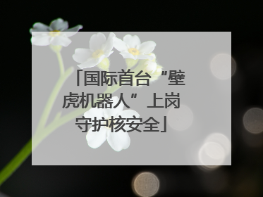 国际首台“壁虎机器人”上岗守护核安全