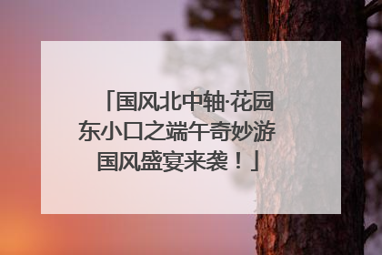 国风北中轴·花园东小口之端午奇妙游国风盛宴来袭！