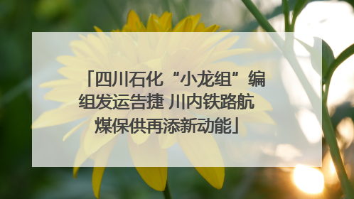 四川石化“小龙组”编组发运告捷 川内铁路航煤保供再添新动能