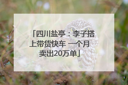 四川盐亭：李子搭上带货快车 一个月卖出20万单