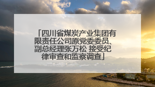 四川省煤炭产业集团有限责任公司原党委委员、副总经理张万松 接受纪律审查和监察调查