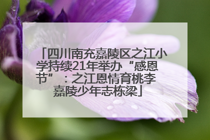 四川南充嘉陵区之江小学持续21年举办“感恩节”：之江恩情育桃李 嘉陵少年志栋梁