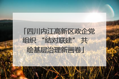 四川内江高新区政企党组织 “结对联建” 共绘基层治理新画卷