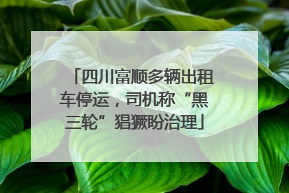 四川富顺多辆出租车停运，司机称“黑三轮”猖獗盼治理