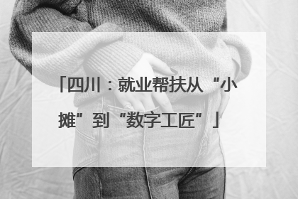 四川：就业帮扶从“小摊”到“数字工匠”