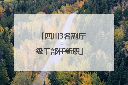 四川3名副厅级干部任新职