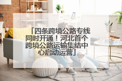 四条跨境公路专线同时开通！河北首个跨境公路运输集结中心启动运营