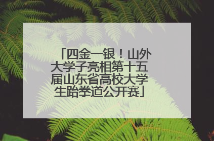 四金一银！山外大学子亮相第十五届山东省高校大学生跆拳道公开赛