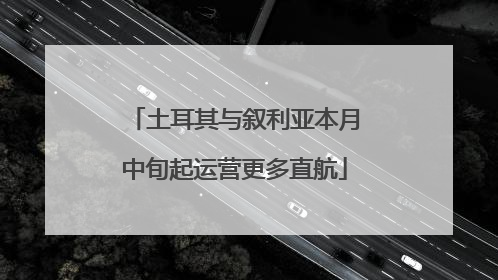 土耳其与叙利亚本月中旬起运营更多直航