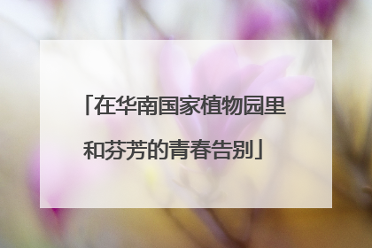 在华南国家植物园里和芬芳的青春告别