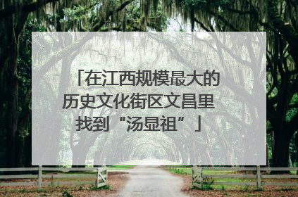 在江西规模最大的历史文化街区文昌里找到“汤显祖”