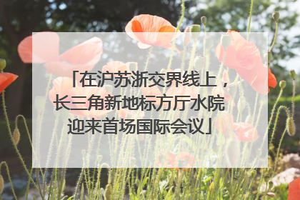 在沪苏浙交界线上，长三角新地标方厅水院迎来首场国际会议