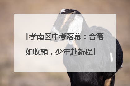 孝南区中考落幕：合笔如收鞘，少年赴新程