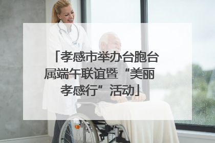 孝感市举办台胞台属端午联谊暨“美丽孝感行”活动