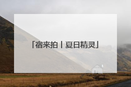 宿来拍丨夏日精灵