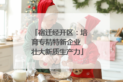 宿迁经开区：培育专精特新企业 壮大新质生产力