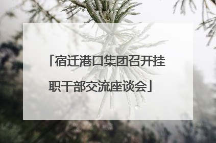 宿迁港口集团召开挂职干部交流座谈会