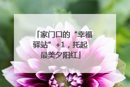 家门口的“幸福驿站”+1，托起最美夕阳红