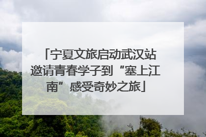 宁夏文旅启动武汉站 邀请青春学子到“塞上江南”感受奇妙之旅