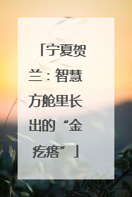 宁夏贺兰：智慧方舱里长出的“金疙瘩”
