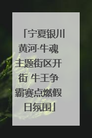 宁夏银川黄河·牛魂主题街区开街 牛王争霸赛点燃假日氛围