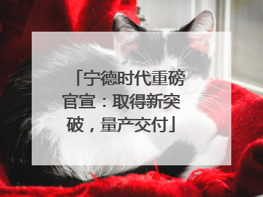 宁德时代重磅官宣：取得新突破，量产交付