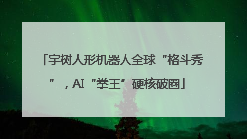 宇树人形机器人全球“格斗秀”，AI“拳王”硬核破圈