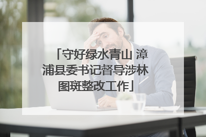 守好绿水青山 漳浦县委书记督导涉林图斑整改工作