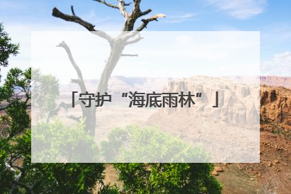 守护“海底雨林”