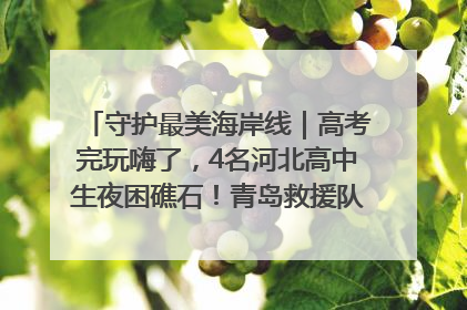 守护最美海岸线｜高考完玩嗨了，4名河北高中生夜困礁石！青岛救援队火速出动救上岸