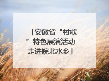 安徽省“村歌”特色展演活动走进皖北水乡
