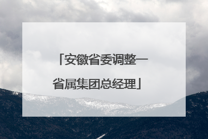 安徽省委调整一省属集团总经理