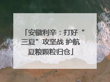 安徽利辛：打好“三夏”攻坚战 护航夏粮颗粒归仓