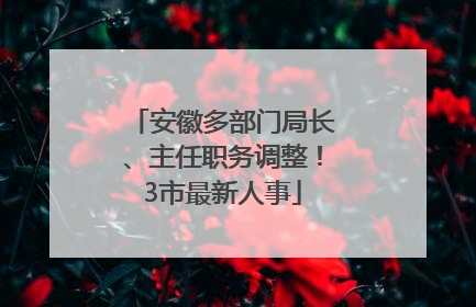 安徽多部门局长、主任职务调整！3市最新人事