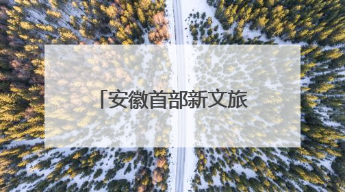 安徽首部新文旅电影《风起秋浦河》在合肥首映