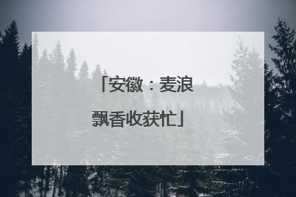 安徽：麦浪飘香收获忙