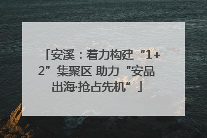 安溪：着力构建“1+2”集聚区 助力“安品出海·抢占先机”